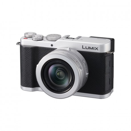 PANASONIC L10 Argent
